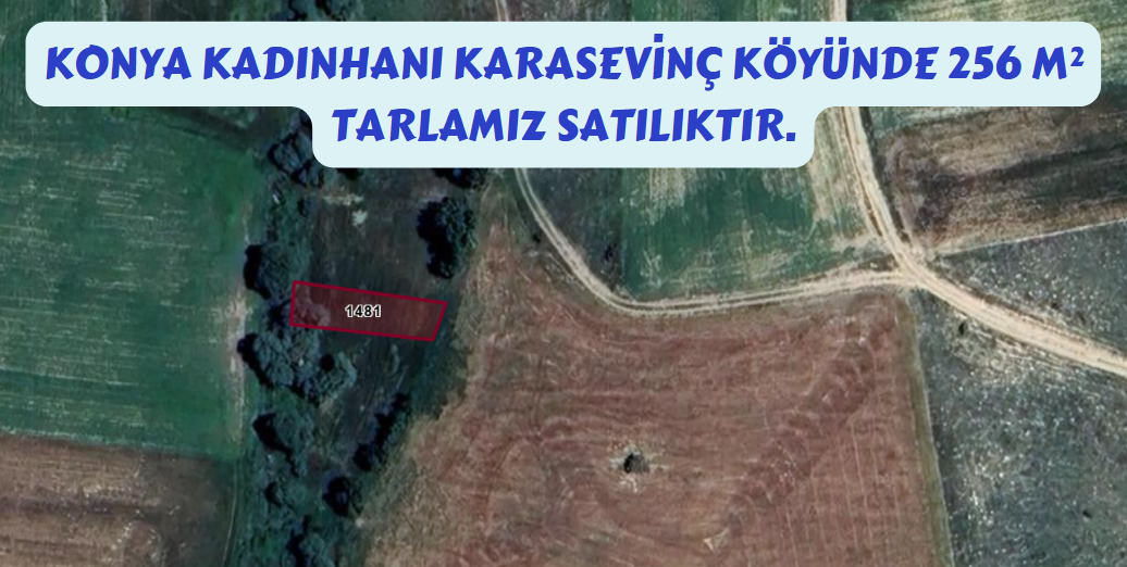 KONYA KADINHANI KARASEVİNÇ KÖYÜ 256M² TARLAMIZ SATILIKTIR. - KONYA KADINHANI fotoğraf 7